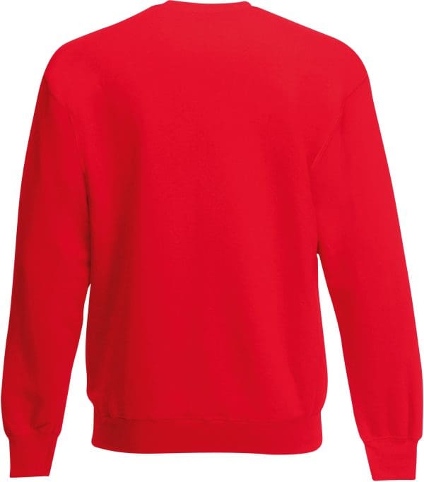 Sweat-shirt enfant col rond Classic (62-041-0) – Image 63