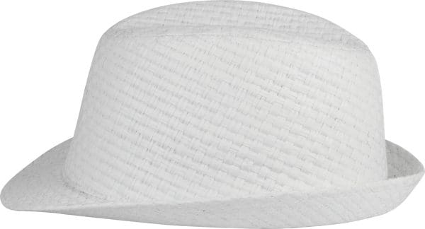 Chapeau de paille style Panama rétro – Image 13
